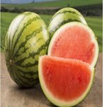 watermelon image